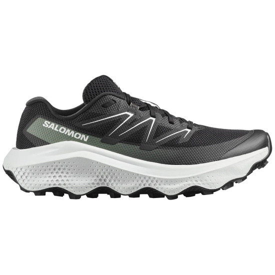 Salomon Ultra Flow 2